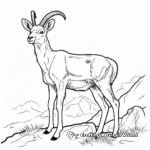 Printable Bighorn Sheep Migration Coloring Pages 4