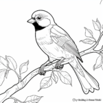 Printable Black Capped Chickadee In A Tree Coloring Pages 2