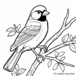 Printable Black Capped Chickadee In A Tree Coloring Pages 3