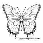 Printable Blue Morpho Butterfly Coloring Pages for Kids 4