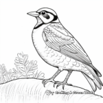 Printable Cartoonish Western Meadowlark Coloring Pages 1