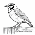 Printable Cartoonish Western Meadowlark Coloring Pages 4