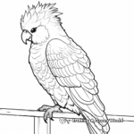 Printable Cockatoo Coloring Pages for Adults 2