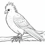 Printable Cockatoo Coloring Pages for Adults 4
