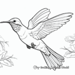 Printable Costa's Hummingbird Coloring Pages for Artists 3