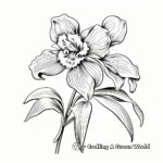 Printable Detailed Orchid Coloring Pages for Adults 2