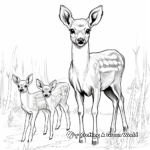 Printable Doe and Fawn Coloring Sheets 1