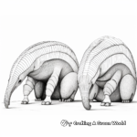 Printable Giant Anteater and Armadillo Side by Side Coloring Pages 2