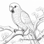 Printable Hyacinth Macaw Parrot Coloring Pages 4