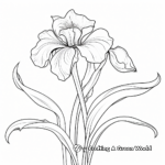 Printable Iris Flower Coloring Pages for Artists 2