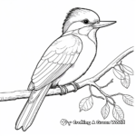 Printable Kingfisher Bird Coloring Pages 4