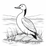Printable Loon Coloring Pages for Birdwatchers 4