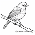 Printable Realistic Oriole Coloring Pages 4