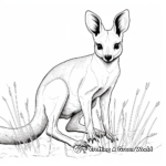 Páginas para colorear imprimibles de Wallaby realista 4