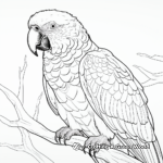 Printable Red-fronted Macaw Coloring Pages for Artists 3