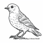 Printable Red-Headed Woodpecker Coloring Pages 4