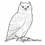Printable Snowy Owl Coloring Pages for Artists 4