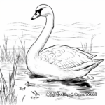 Printable Swan Coloring Pages for Artists 1