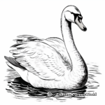 Printable Swan Coloring Pages for Artists 4