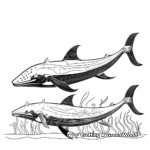 Printable Whales Coloring Pages for Artists 1