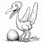 Pterodactyl in Different Ages: Egg to Adult Coloring Pages 2