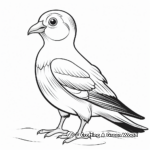 Puffin Bird Adult Coloring Pages 2