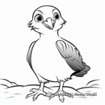 Puffin Chick Coloring Pages for Children 3