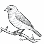 Puffy Pine Grosbeak Coloring Pages for Children 1
