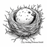 Quail Egg and Nest Coloring Pages 2