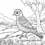 Quail In The Trees Coloring Pages 4