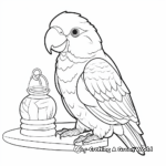 Quaker Parrot Coloring Pages for Bird Lovers 2