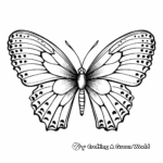 Radiant Orange Tip Butterfly Coloring Pages 1