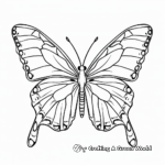 Radiant Orange Tip Butterfly Coloring Pages 4