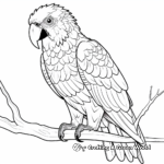 Rainbow-Colored Macaw Coloring Pages 2