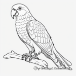 Rainbow-Colored Macaw Coloring Pages 3