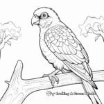 Rainbow lorikeet Parrot Coloring Pages for kids 1