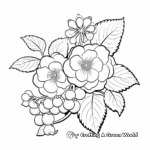 Raspberry Flower and Fruit Coloring Pages 1