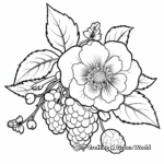 Raspberry Flower and Fruit Coloring Pages 2