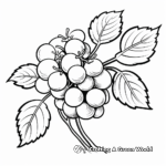Raspberry Flower and Fruit Coloring Pages 3