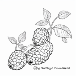 Raspberry Lifecycle Coloring Pages 1