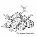 Raspberry Lifecycle Coloring Pages 2