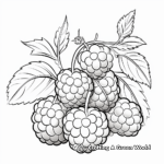 Raspberry Sheet Coloring Pages for Adults 2