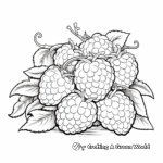 Raspberry Sheet Coloring Pages for Adults 3