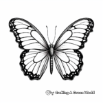 Real-Favored Monarch Butterfly Coloring Sheets 4