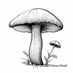 Realistic Agaricus Mushroom Coloring Sheets 4