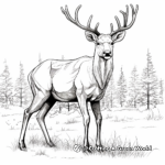 Realistic Alaskan Moose Coloring Sheets 3