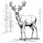 Realistic Alaskan Moose Coloring Sheets 4