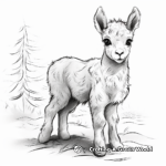 Realistic Alpaca Coloring Pages 1