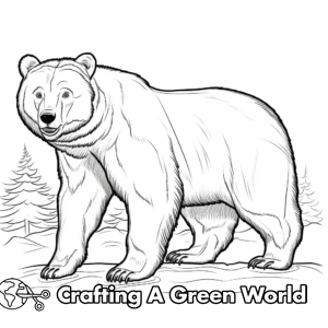 Black Bear Coloring Pages - Free & Printable!