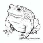 Realistic American Toad Coloring Pages 3